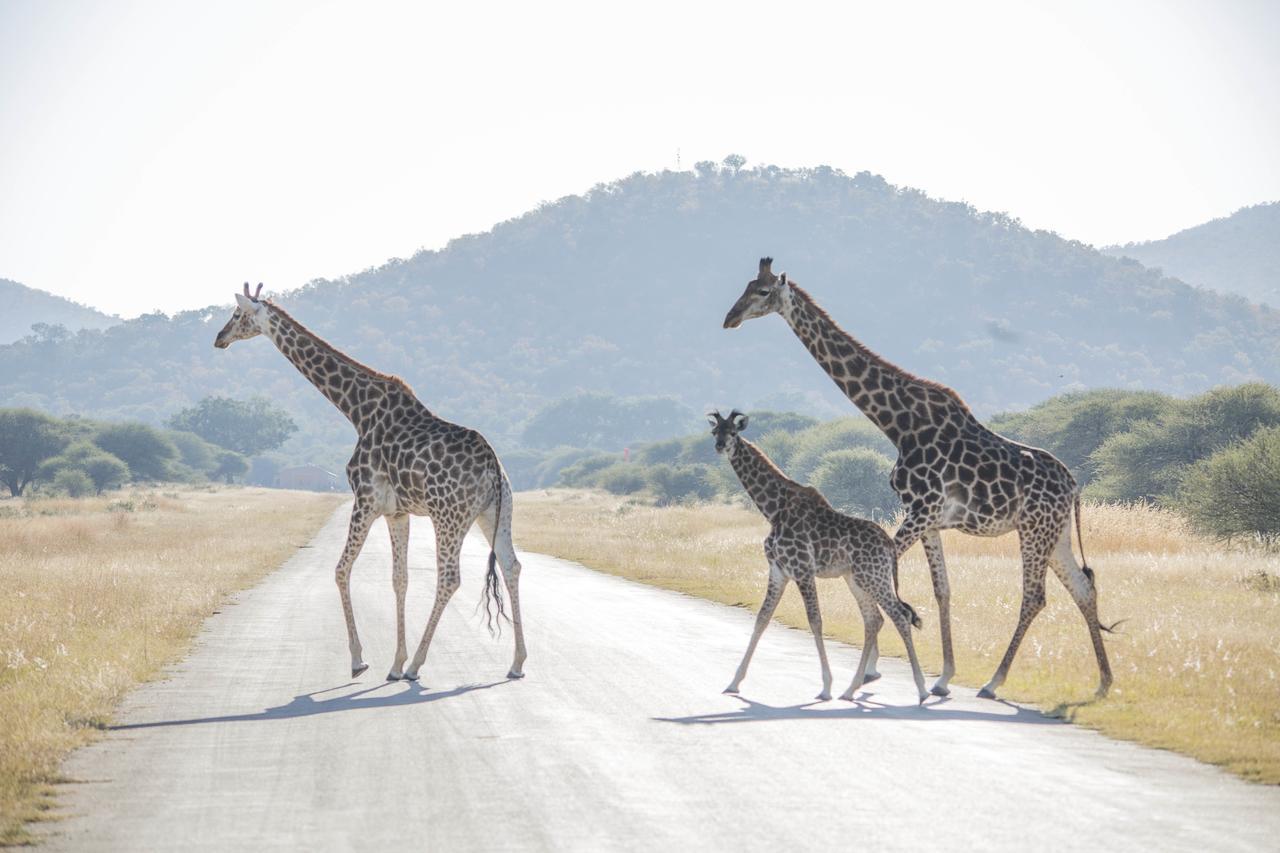 Phumelo Lodge Bela-Bela Eksteriør bilde