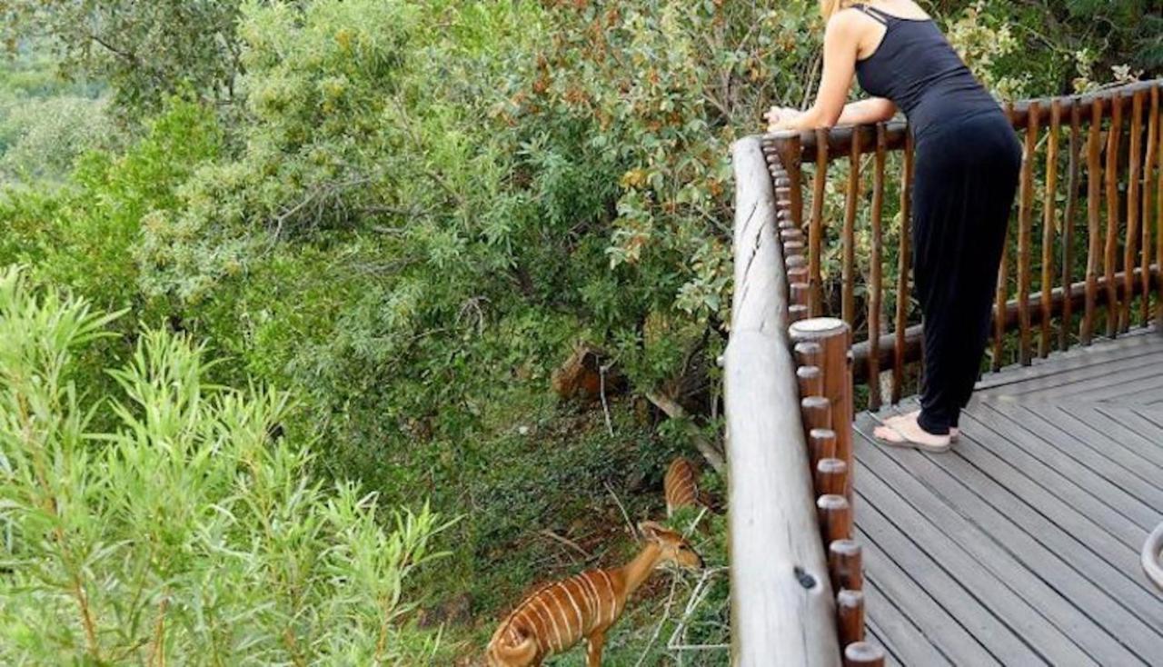 Phumelo Lodge Bela-Bela Eksteriør bilde